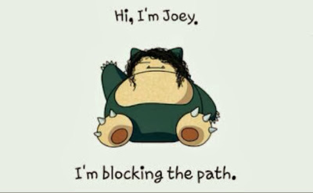 Meet your Posher, Joey